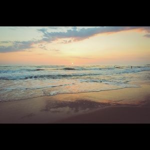 Meet your Posher, Dylan